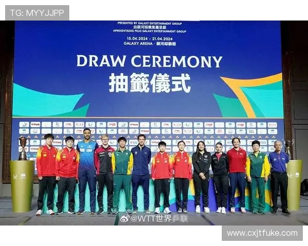 世界杯赛场风云再起 球迷热议经典对决与新星崛起