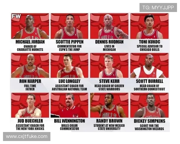 从乔丹王朝到重建之路的芝加哥公牛队传奇与未来梦想复兴全景解析